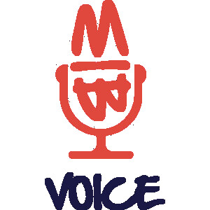 BIMvoice logo